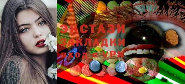 дживик Краснослободск