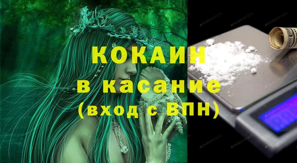 дживик Краснослободск