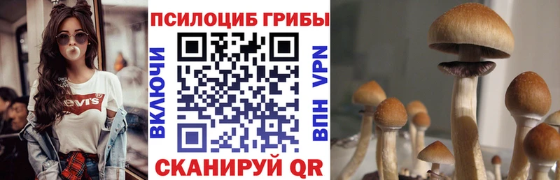 закладки  ссылка на мегу   Галлюциногенные грибы Magic Shrooms  Малмыж 